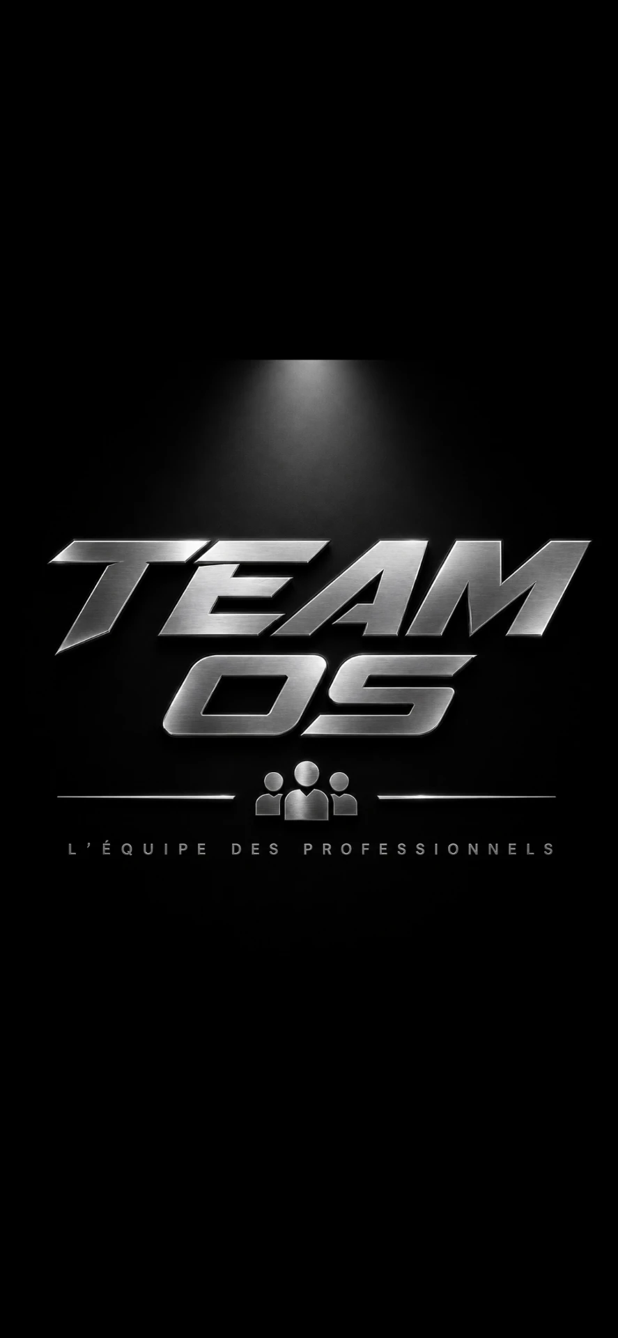 Logo Team OS — L'équipe des professionnels